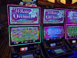 r777 game download apk